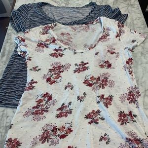 2 Caslon rounded v neck tees from Nordstrom